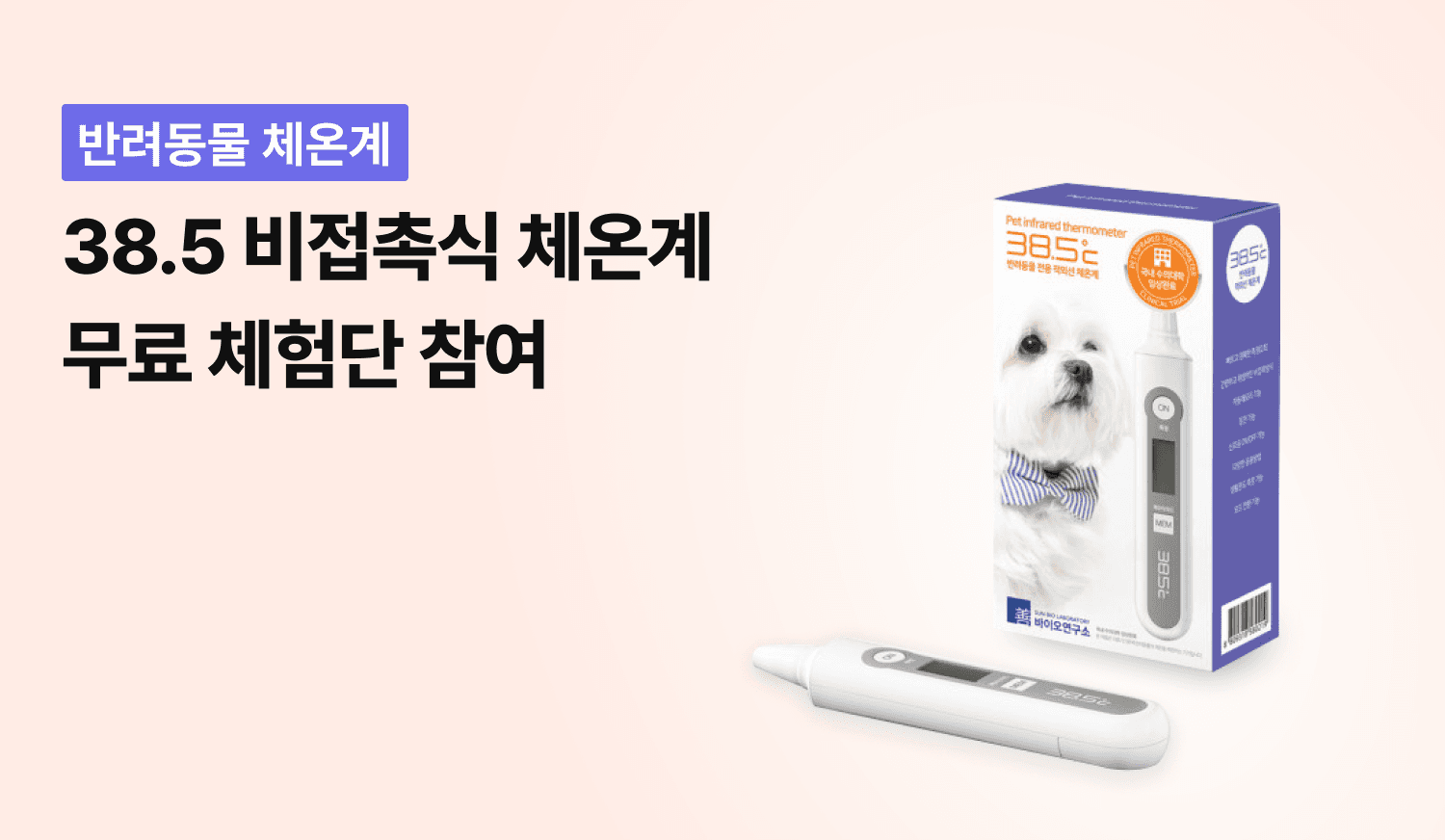 체험단 제품 사진