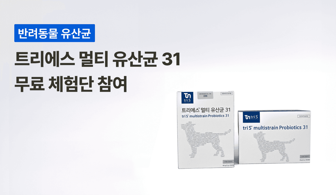 캠페인 썸네일