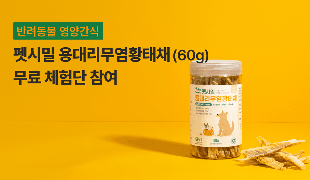 캠페인 썸네일