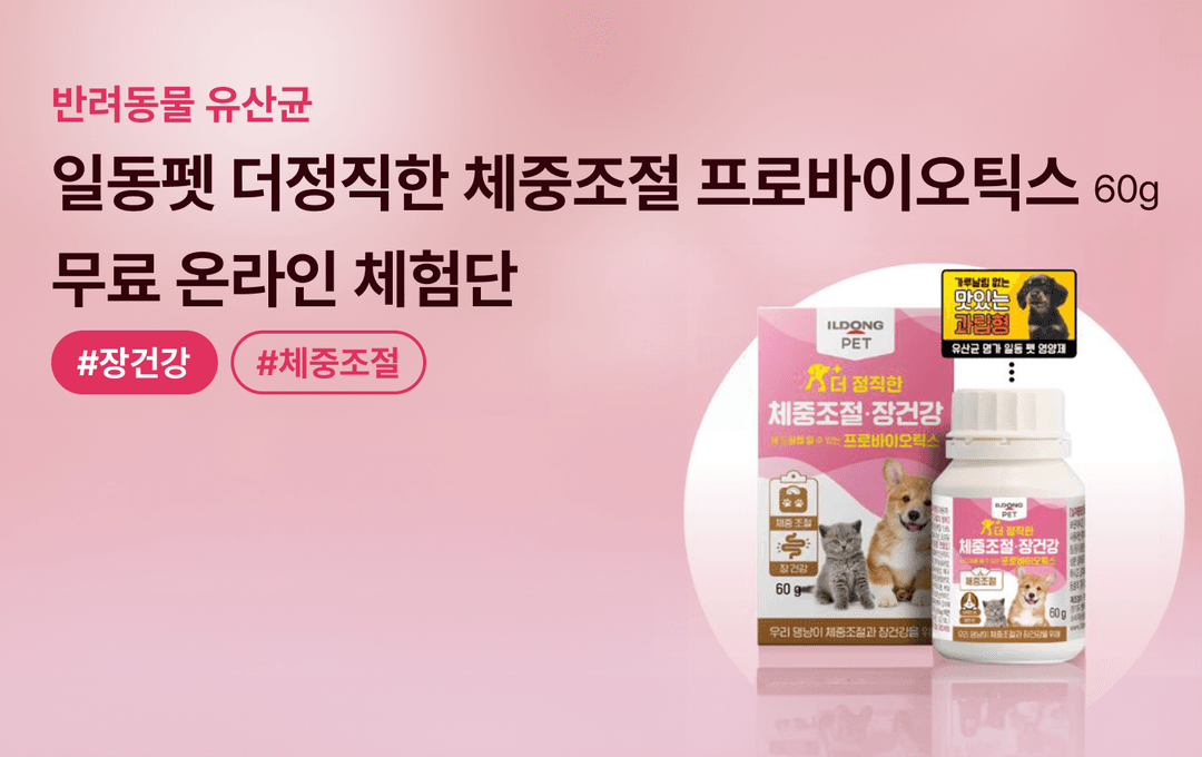 캠페인 썸네일