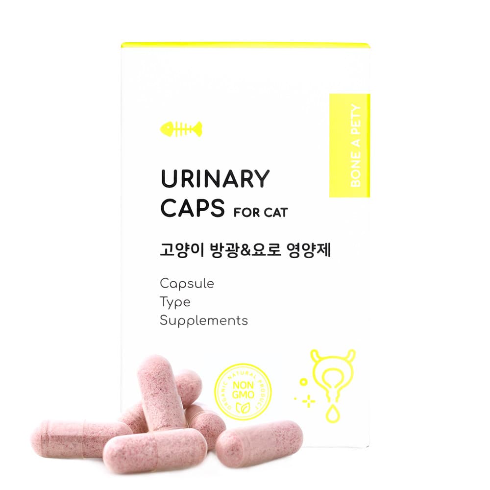 제품 상세 이미지