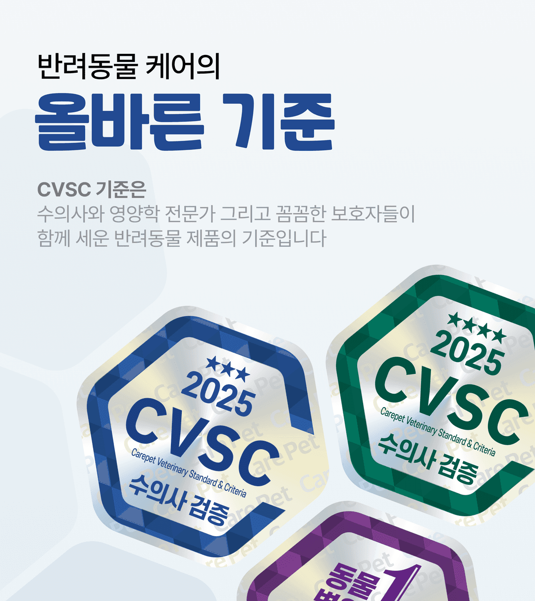 인증 페이지