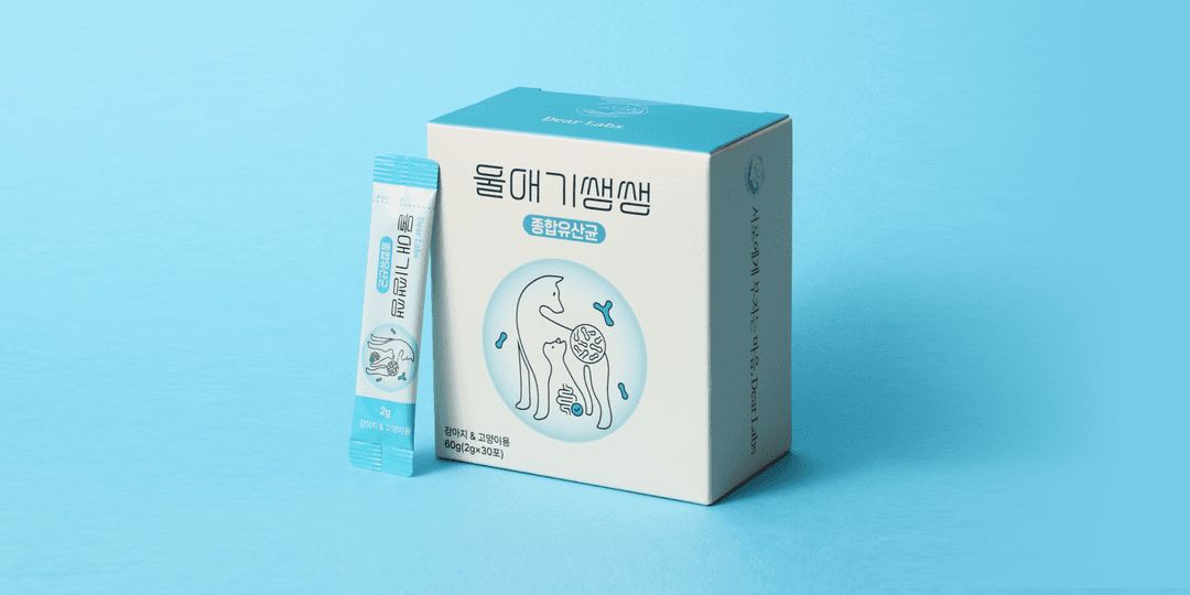캠페인 썸네일